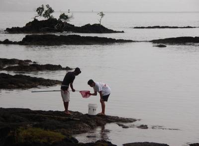 What did you catch? Tidepooling