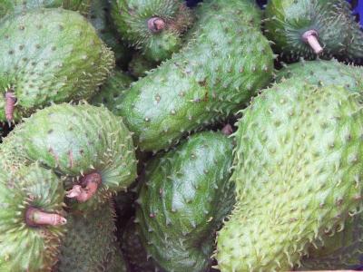 Soursop