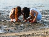 Amidst the tidepools