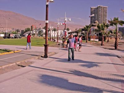 u26/semensoy/medium/43303847.iquique2.jpg
