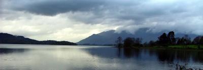 Misty Lake