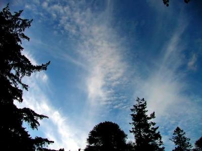 Natures Gift