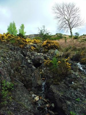 Rocky Stream