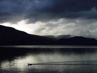 Storm Clouds Gather