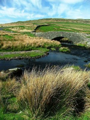 Water Under the Bridge