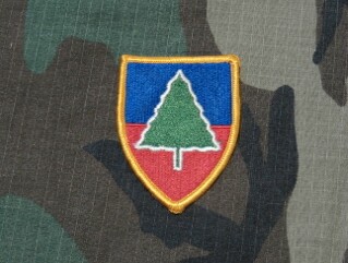 91st Training Brigade