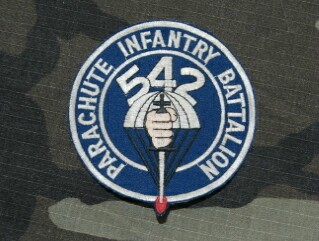 542nd Para Bn