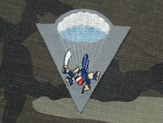 515th Abn