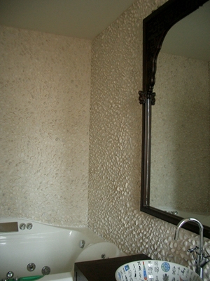 YF147-45 master bath tob.JPG