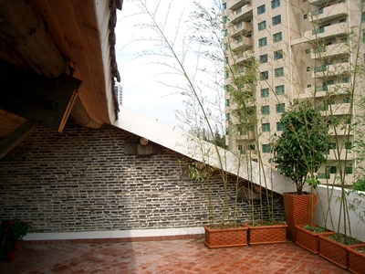 YF147-45 roof garden.JPG