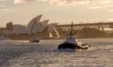 Tug on harbour