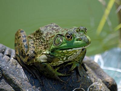 D70-9-245-copy.jpg
