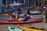 kayaks on tomales bay