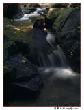 CRW_1025.jpg