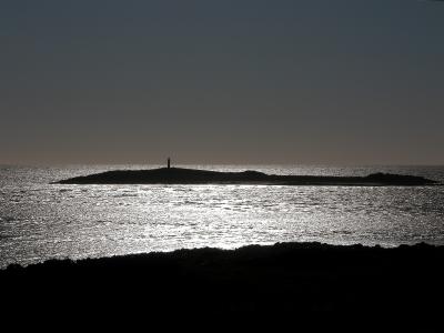 Jarman Island silhouette
