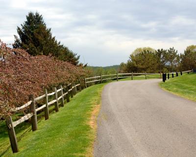 DSC_0003.jpg