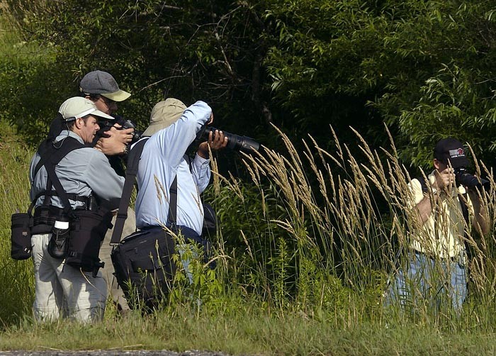 Field group