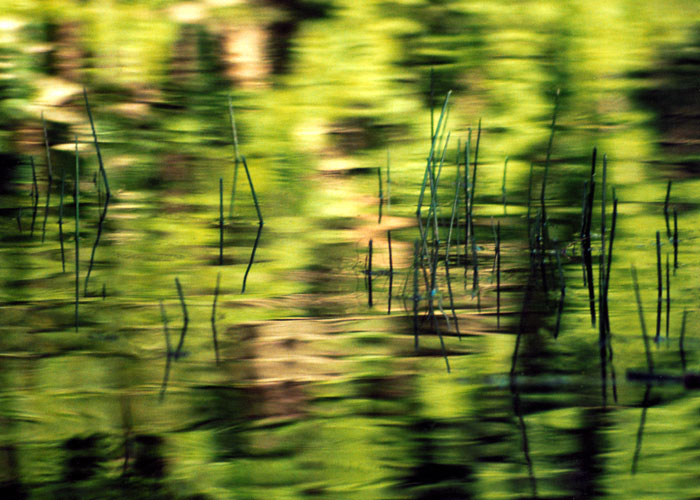 green on green