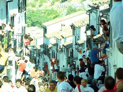 Año 2004