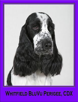 GWilliams3frame.jpg