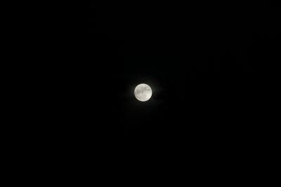 05-22-05 200mm