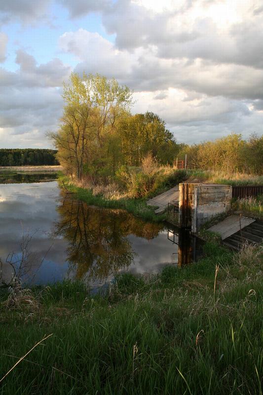 Rearing Ponds