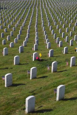 136,800 buried here, 113,000 vets