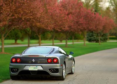 Stradale-Cemetary2.jpg