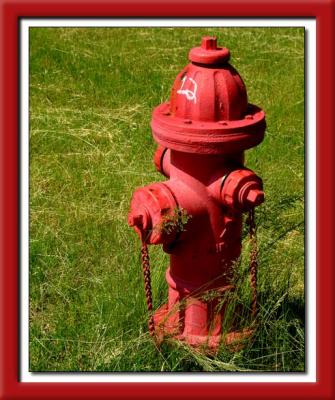 Country Fire Hydrant  173