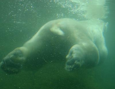 2005_0513_131418.jpg