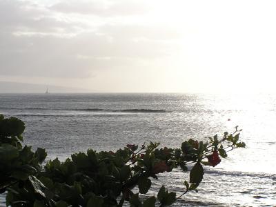 Maui