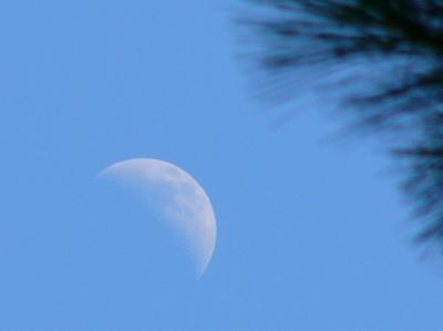 Moon 1