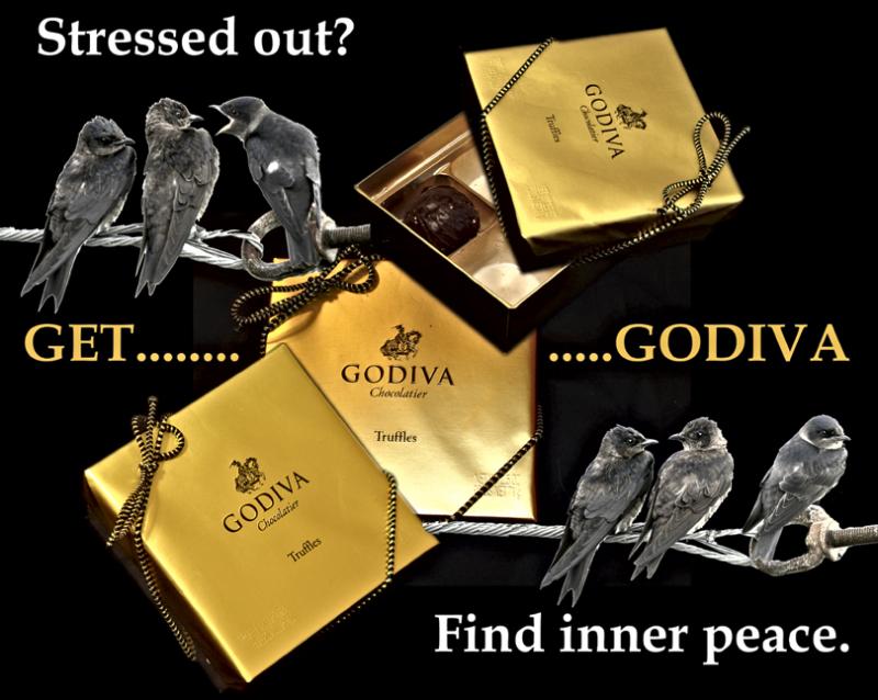 7th (tie)<br>Godiva Does it Again<br> <font size=3>Fremiet