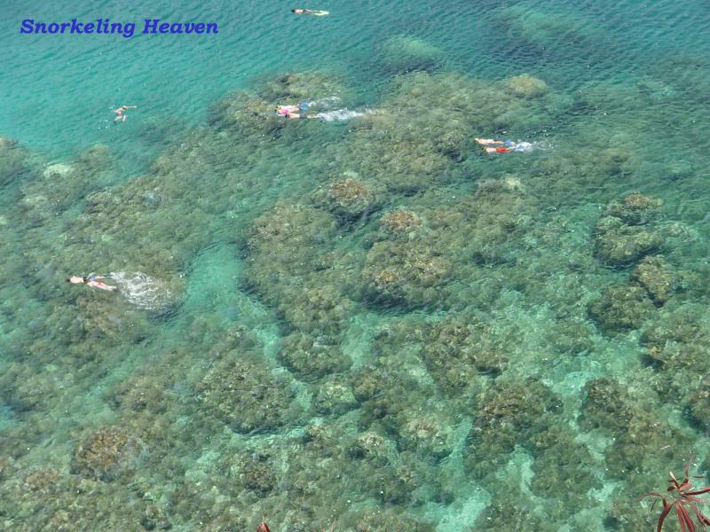 <B>Snorkeeling Heaven</B><br>Honolua Bay, Maui(Hawaii)<br>by Suman