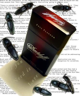 The medium is...by bbzippo
