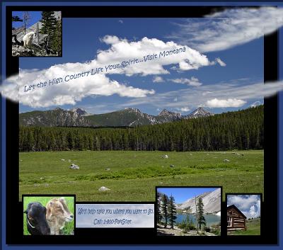 Visit Montana  by mlynn