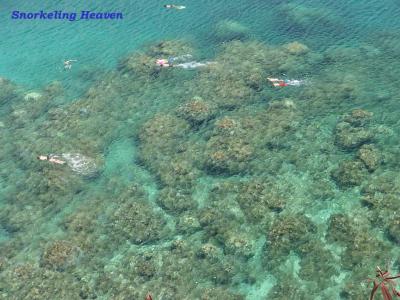 Snorkeeling HeavenHonolua Bay, Maui(Hawaii)by Suman