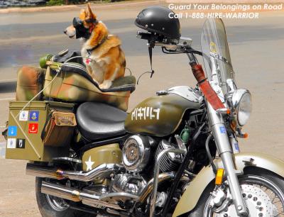 Road Warriorby Suman