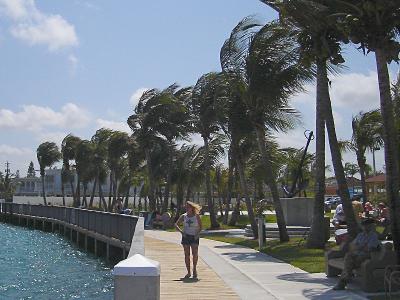 Windy bayside walk*by Justin Miller