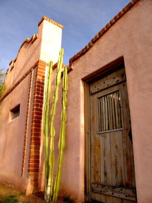 Cacti at the Barrio by TinyGreenAlien