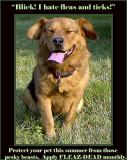 Flea and Tick Protection*<br> by Deb