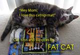 <B>FAT CAT</B><BR><FONT size=2>by Ann Chaikin</FONT>