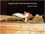 <b>Support...</b><br><font size=1>by Bev Brink</font>