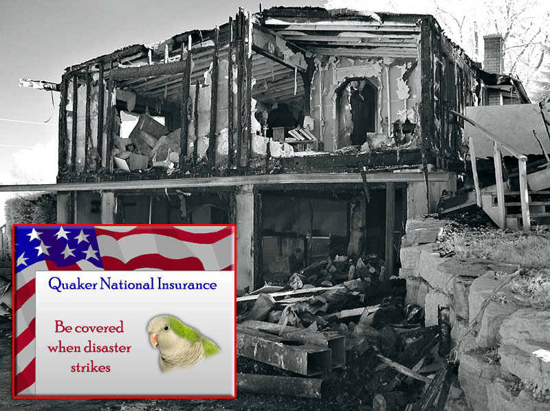 Home Owners Insurance by Katherine Kenison