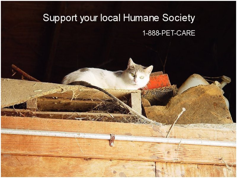 <b>Support...</b><br><font size=1>by Bev Brink</font>