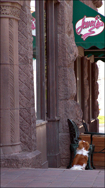 Waiting Outside Jennis* <br> by mlynn