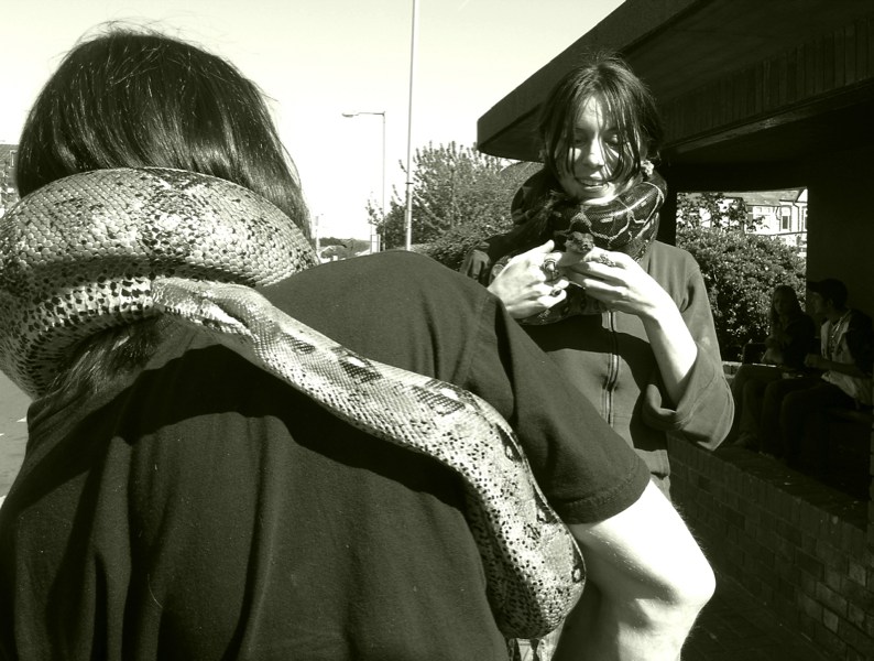 Python Day*      by Mark Oakland