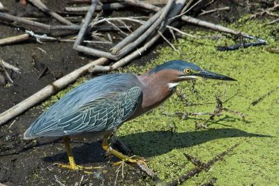 DSC_5605.jpg