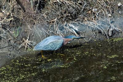 DSC_5616.jpg