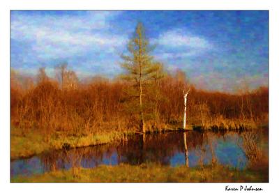 Tuttle Marsh, nearly sunset